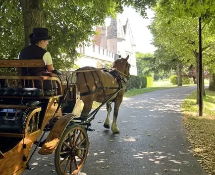 balade en calèche oise 1