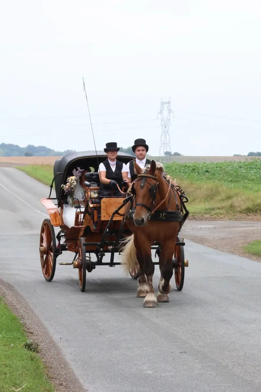 balade et location caleche oise11