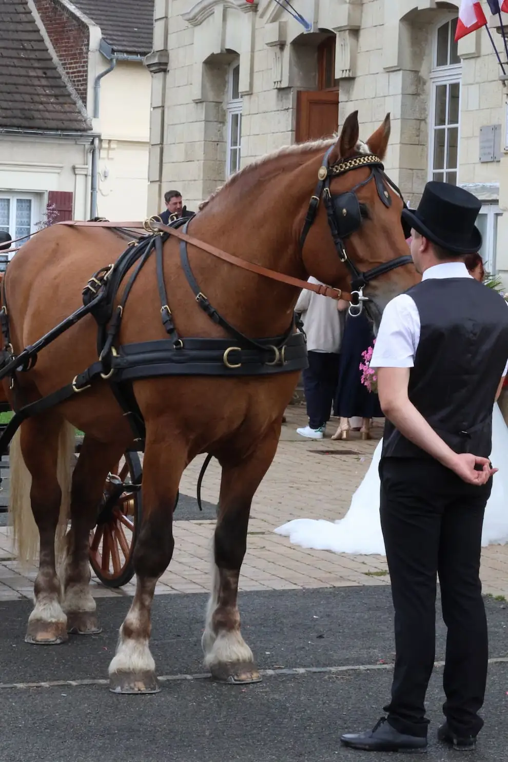 balade et location caleche oise12