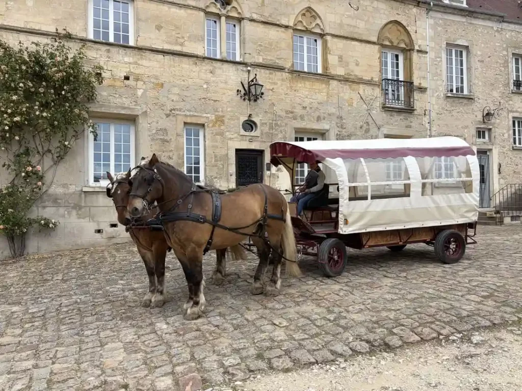 balade et location caleche oise20