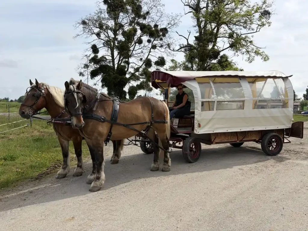 balade et location caleche oise28